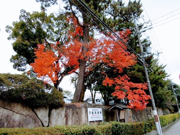 耳塚 豊国神社 方広寺に行ってみる 京都人の京都観光